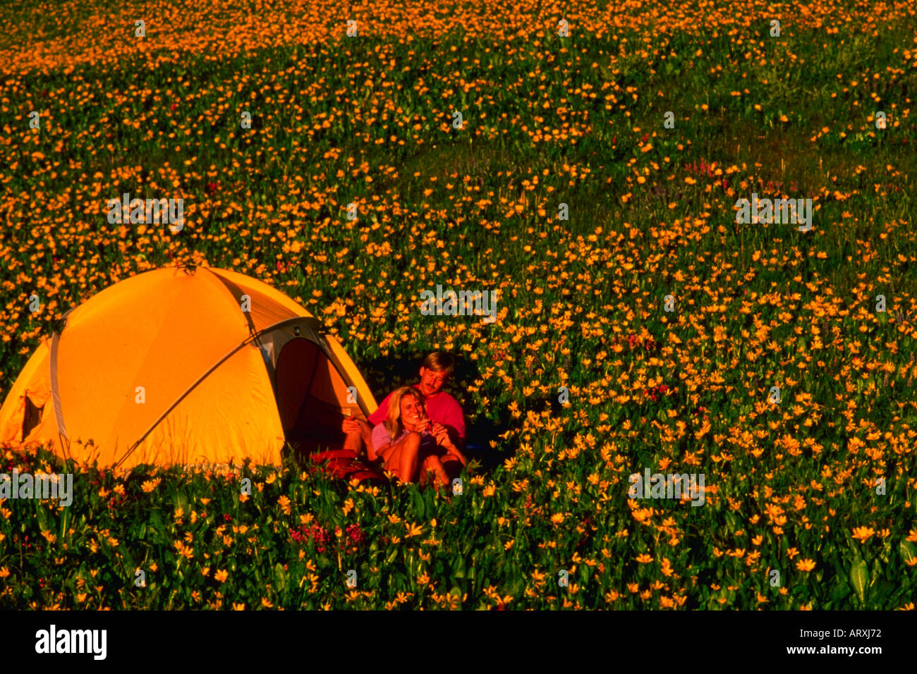 Campeggio in Wasatch Mountains dello Utah Foto Stock Campeggio in Wasatch Mountains dello Utah Foto Stock