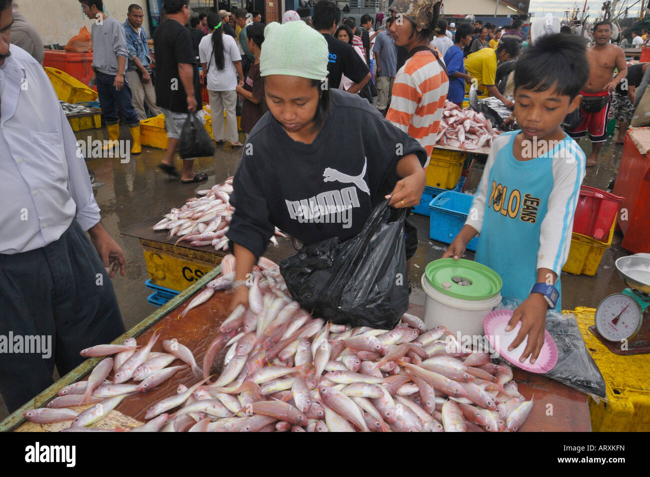 Pesce o mercato bagnato in Kota Kinabulu capitale di Sabah del Borneo Settentrionale della Malaysia Foto Stock
