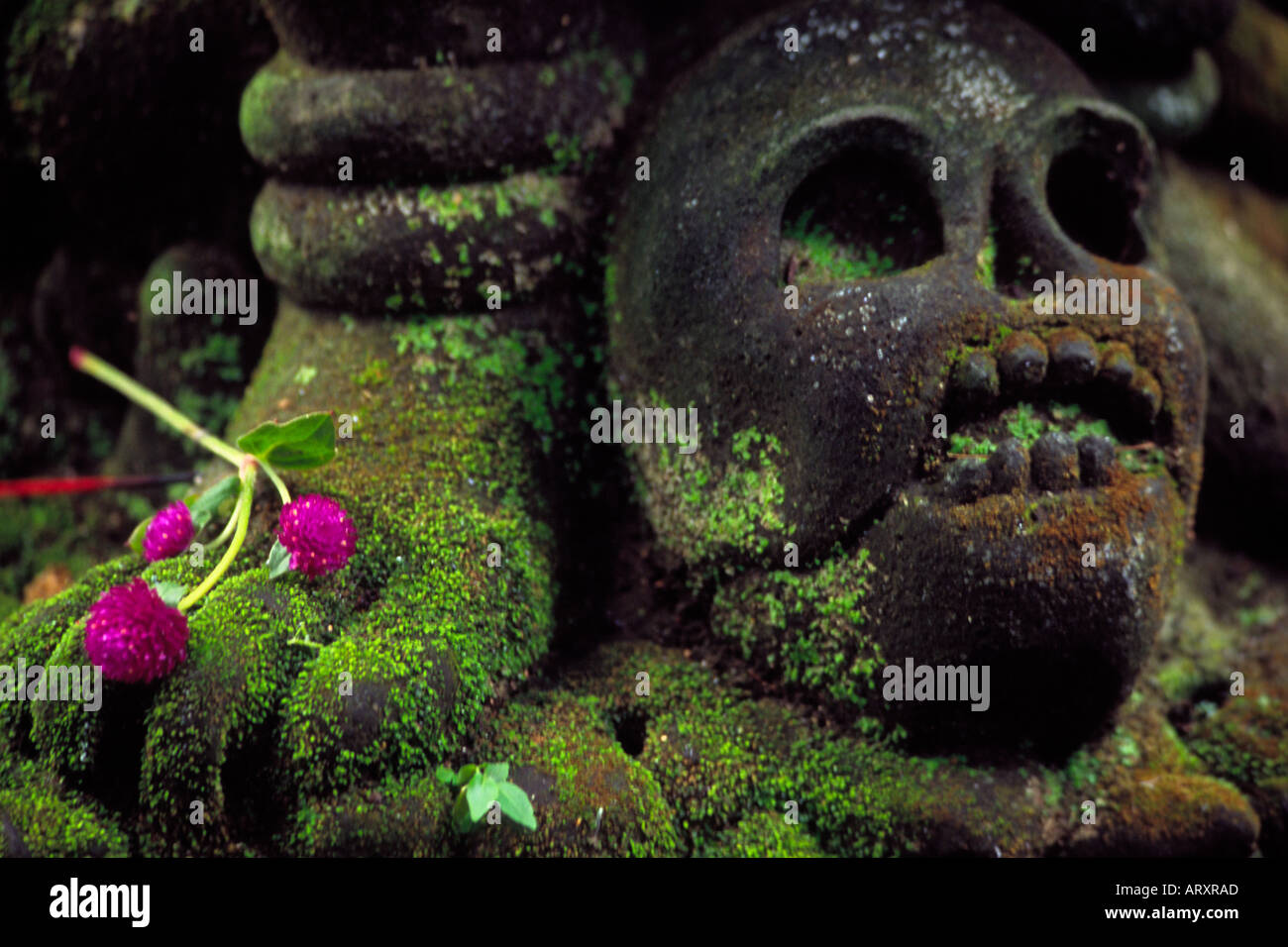 Fiori sul cranio rock statua in Ubud Bali Indonesia 2005 Foto Stock