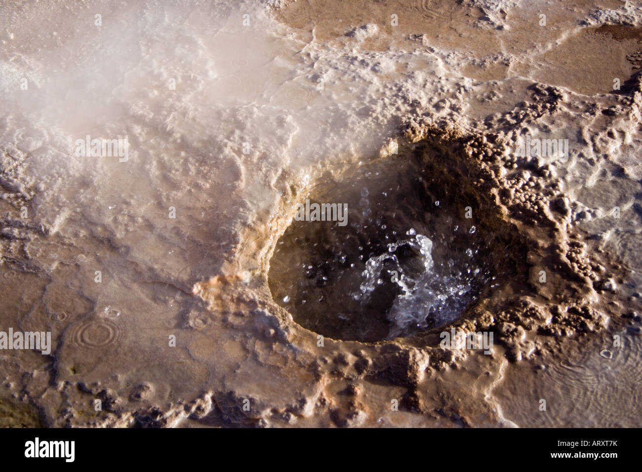 Un close-up di un geyser di El Tatio area, San Pedro de Atacama, Cile, Sud America Foto Stock Un close-up di un geyser di El Tatio area, San Pedro de Atacama, Cile, Sud America Foto Stock