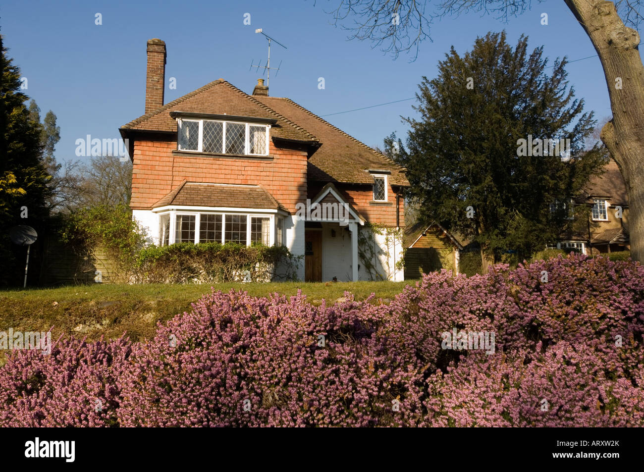 Cottage con viola Heather Shere Surrey UK Foto Stock