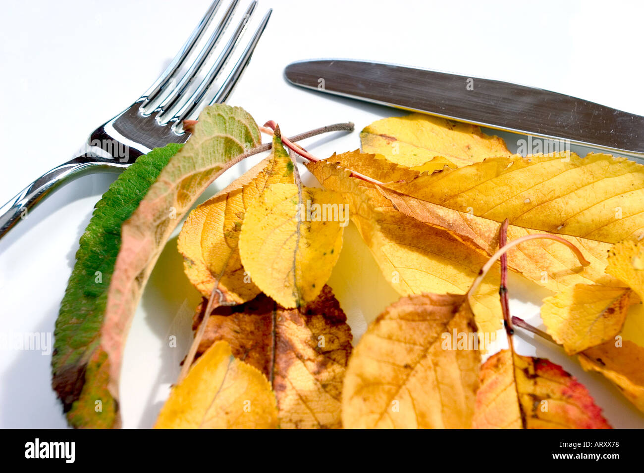 Immagine concettuale di coltello e fourch con autunnale di foglie colorate e rosso tomatoe pronto da mangiare Foto Stock