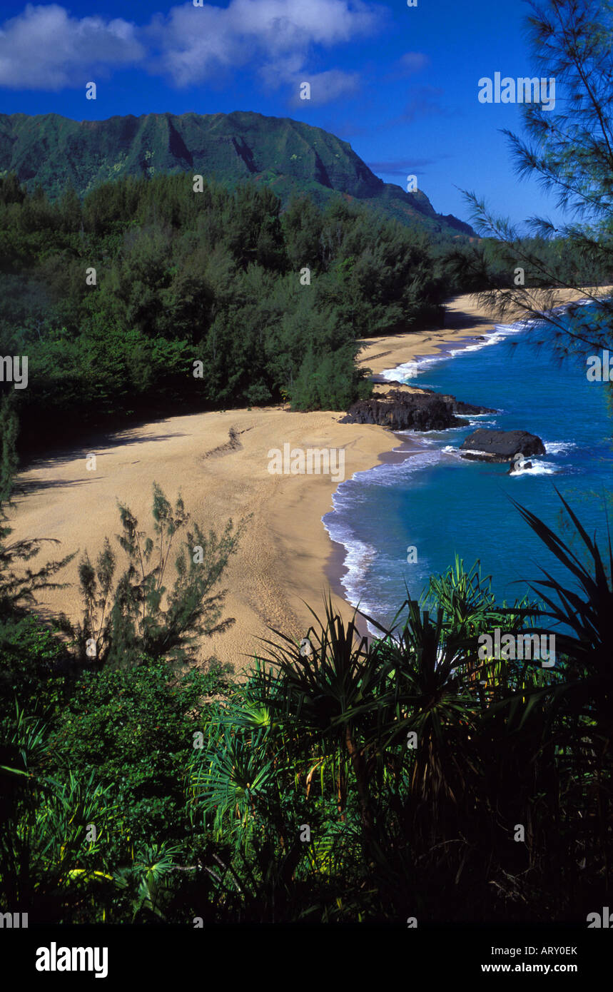 Spiaggia Lumahai dove il filmato "South Pacific' è stato girato, Kauai Foto Stock