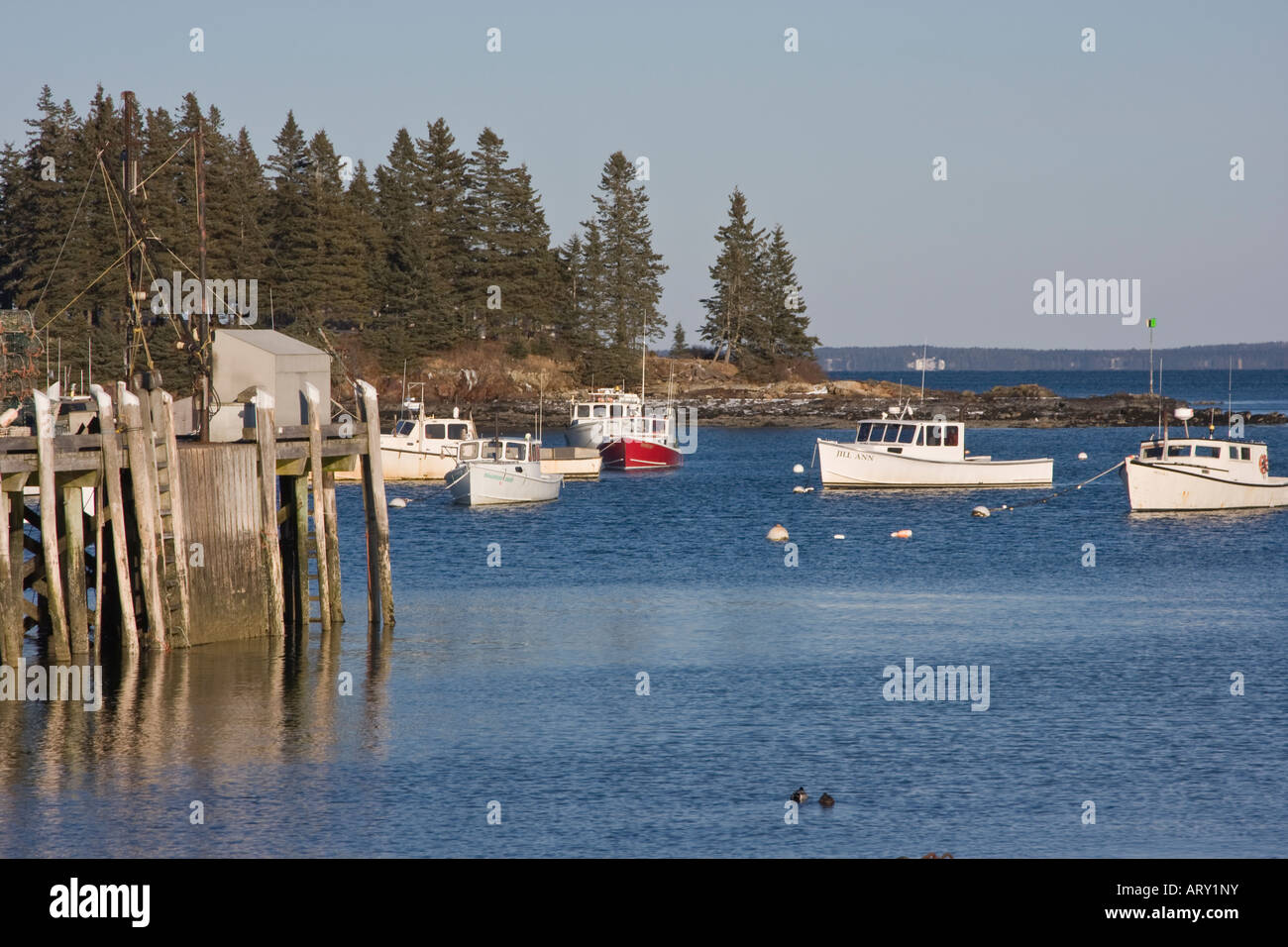 La pesca dell'aragosta Harbour sulla baia di Penobscot in testa i gufi, Maine Foto Stock