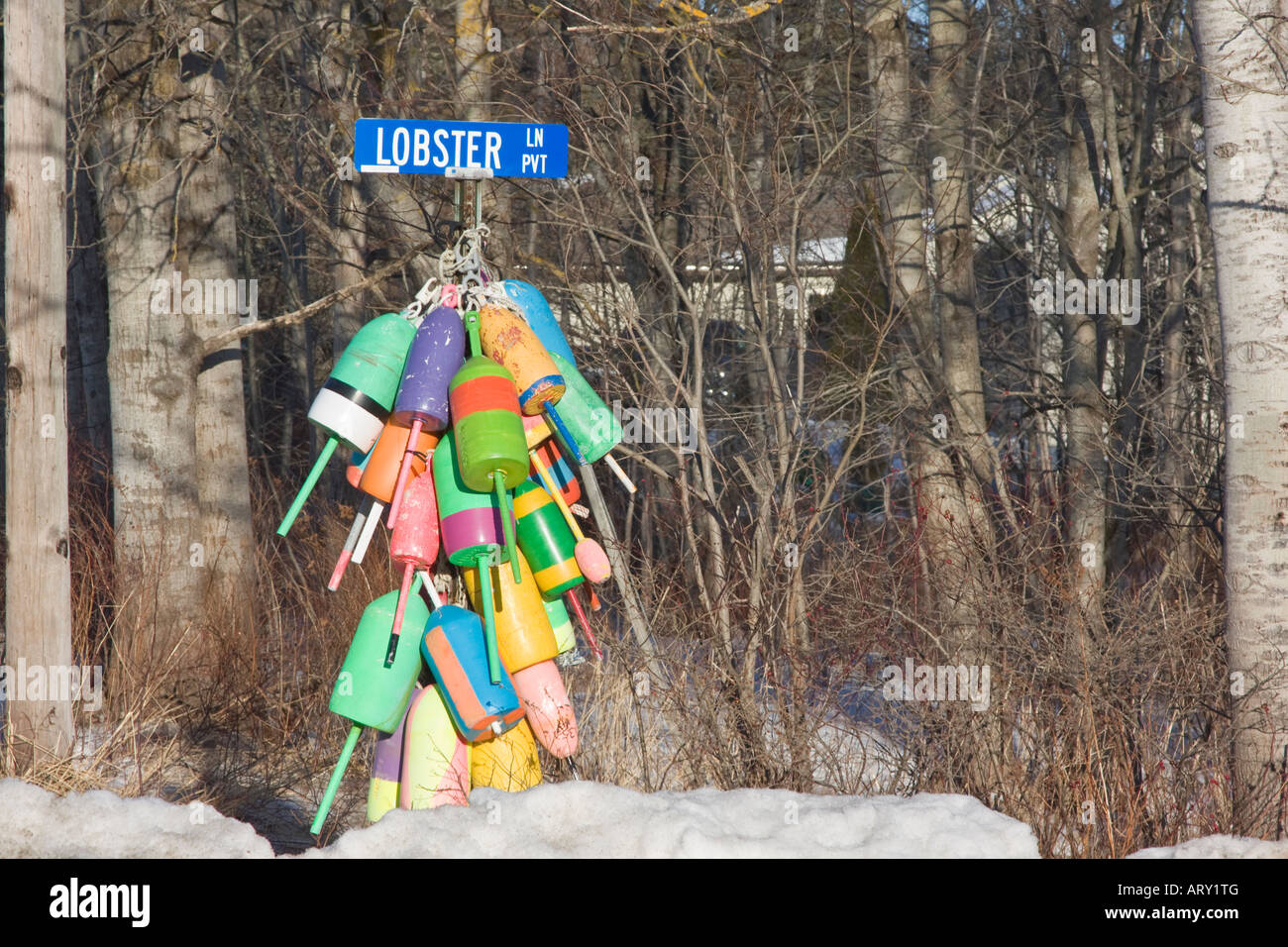 Lobster boe in corrispondenza di una strada rurale corner nell'astice villaggio di pescatori di gufo di testa, Maine Foto Stock