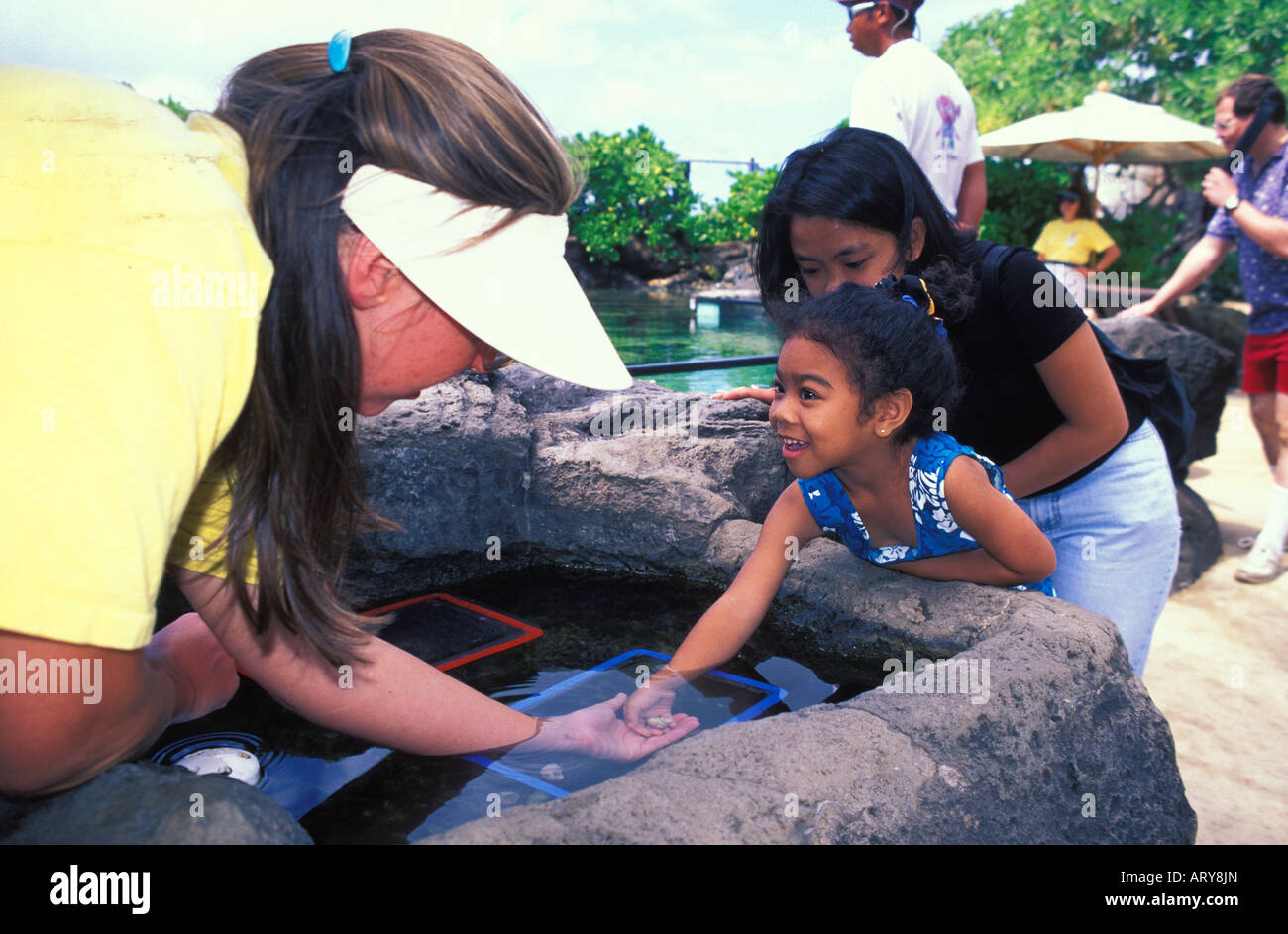 Una giovane ragazza esplora alcune uniche creature del mare a bordo del reef vasca al Waikiki Aquarium. Foto Stock