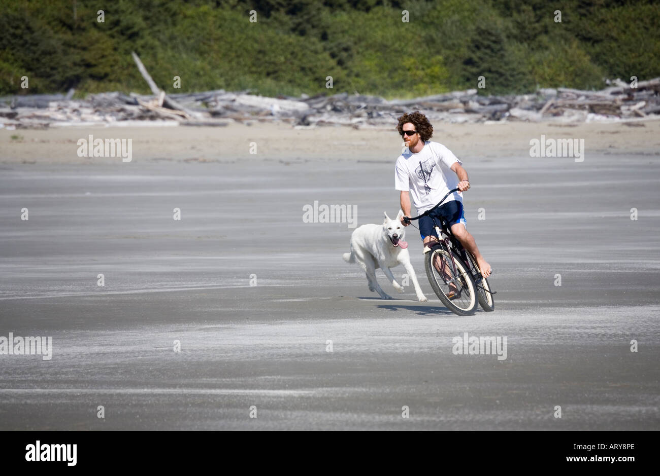 L'uomo con il cane escursioni in bicicletta sulla lunga spiaggia Pacific Rim national park riserva isola di Vancouver in Canada Foto Stock