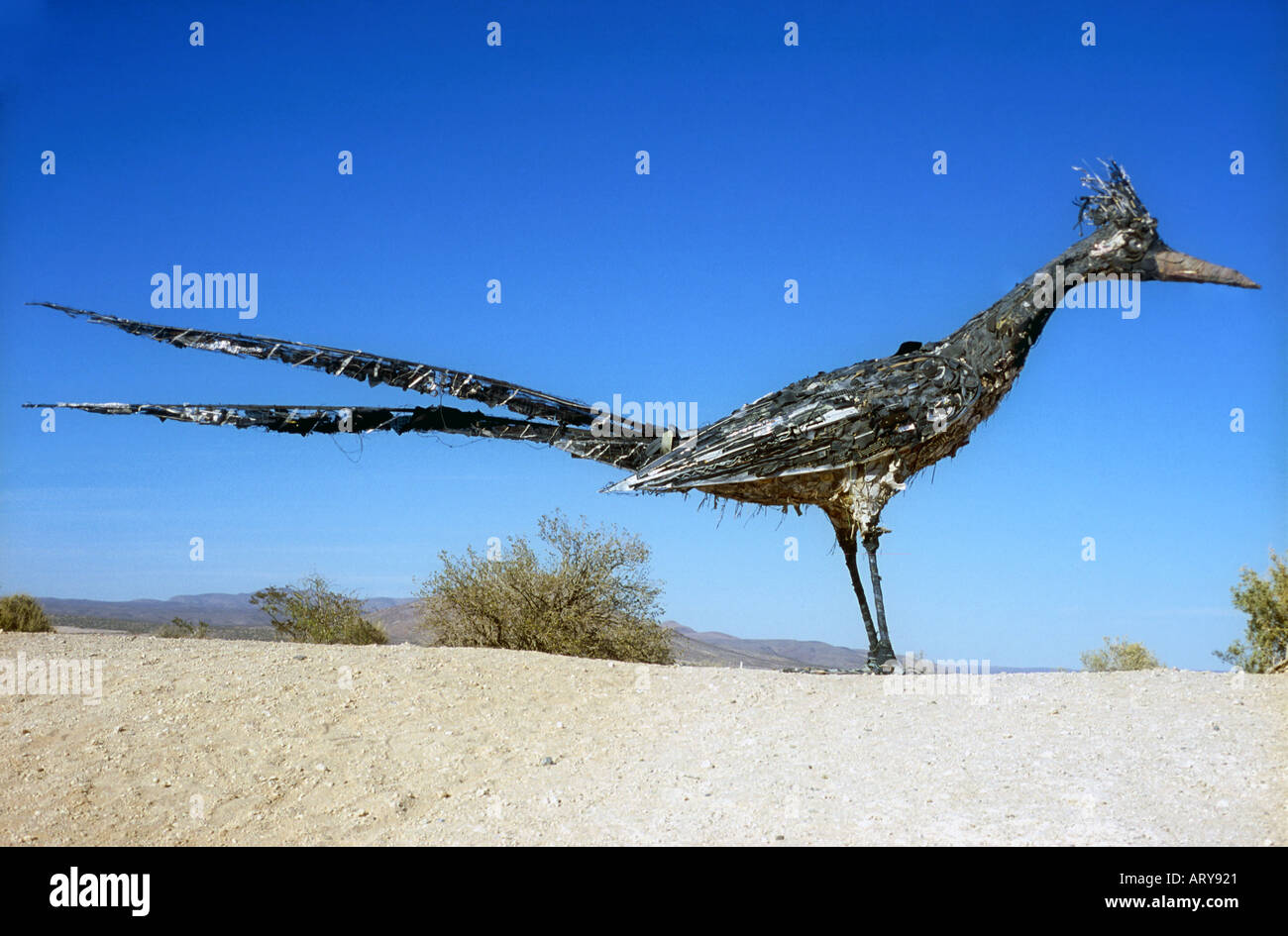 Giant Roadrunner scultura realizzata al di fuori del cestino e vecchio metallo in Las Cruces New Mexico Foto Stock