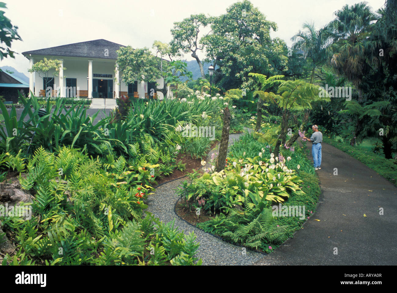 Un uomo prende una tranquilla passeggiata attraverso i giardini dello storico Queen Emma's Summer Palace situato fuori la I Pali Hwy, Oahu. Foto Stock