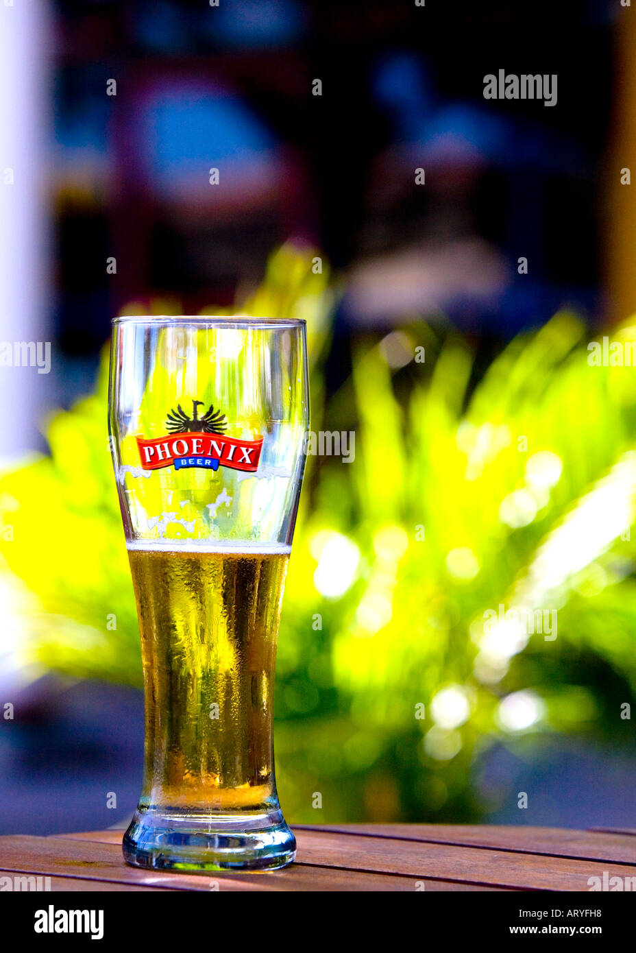 Mezzo pieno o mezzo vuoto? Localmente di infuso di Phoenix la birra in un giorno caldo in Mauritius - felicità pura!! Foto Stock