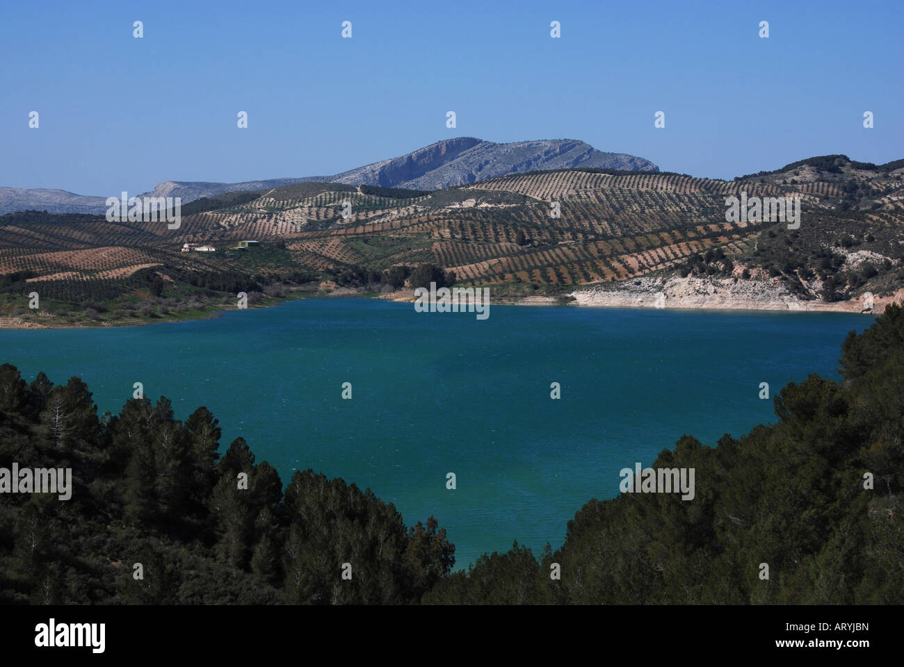 Vista sul lago nella campagna spagnola, Guadalhorce, in Andalusia Malaga Foto Stock