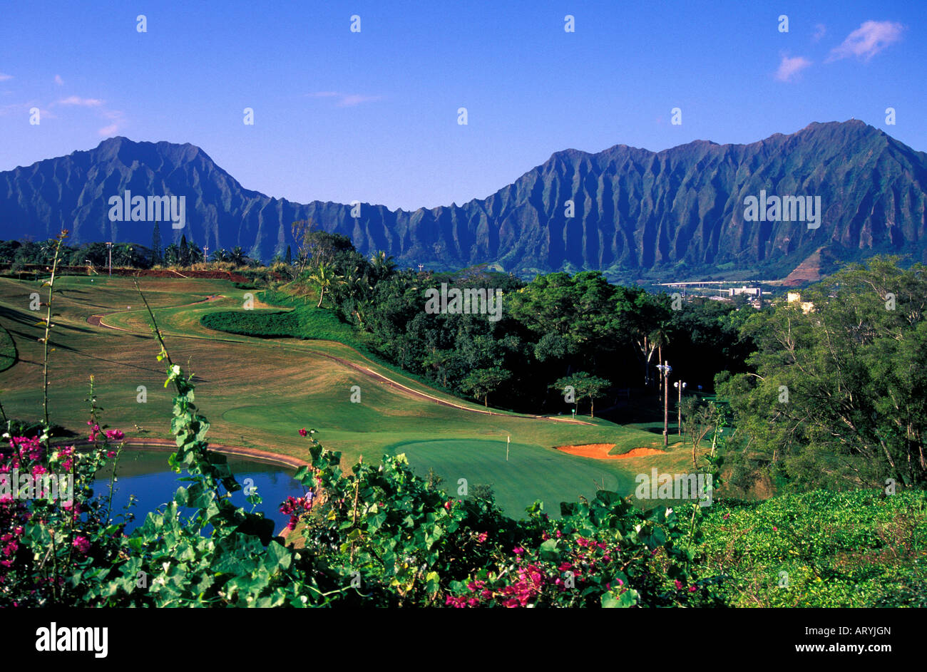 Foro numero 16 della baia vista campo da golf disegnato da Nelson & Haworth Foto Stock