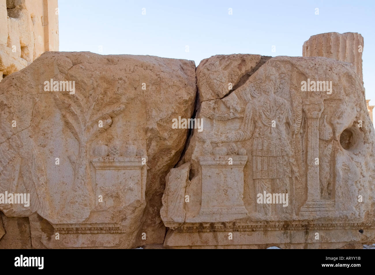Scultura decorativa, cella, Tempio di bel, Bal, resti di antiche Tadmor, Palmyra, Siria centrale, Medio Oriente. DSC 5915 Foto Stock