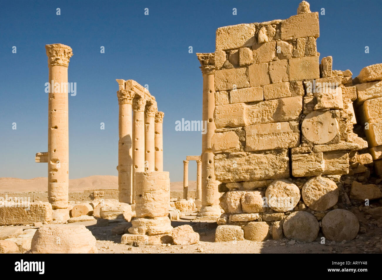 Cella centrale, Tempio di bel, Bal, tra le rovine antiche Tadmor, Palmyra, Siria centrale, Medio Oriente. DSC 5930 Foto Stock