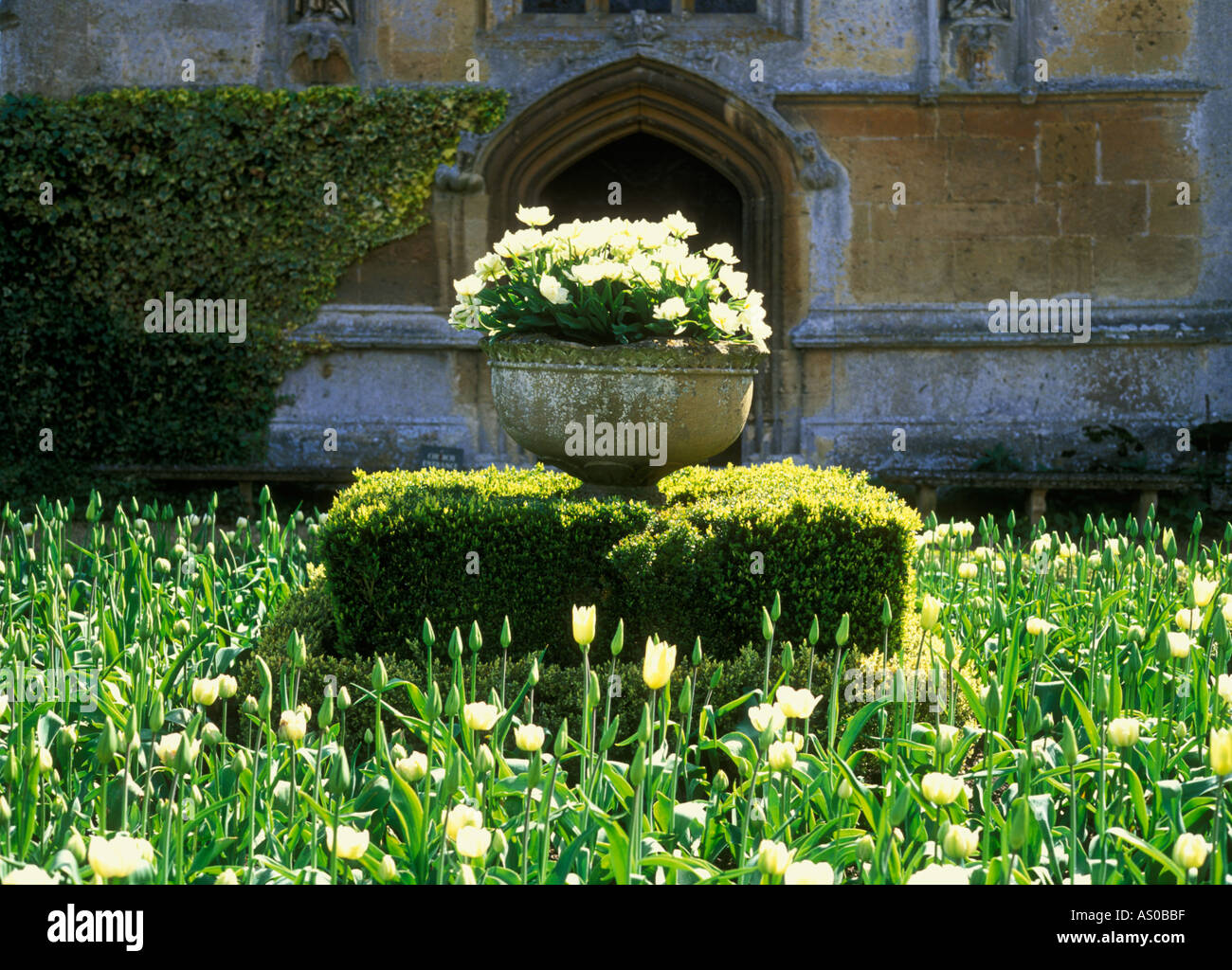 I tulipani in un'urna in Sudeley Castle Gardens Foto Stock