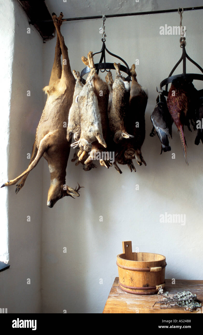 Plas Mawr Conwy Conway Elizabethan townhouse GRAN BRETAGNA North Wales UK Foto Stock