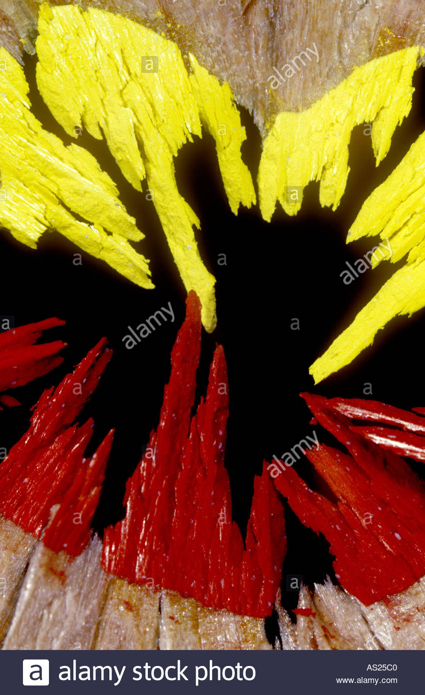 Crayon trucioli. Foto Stock