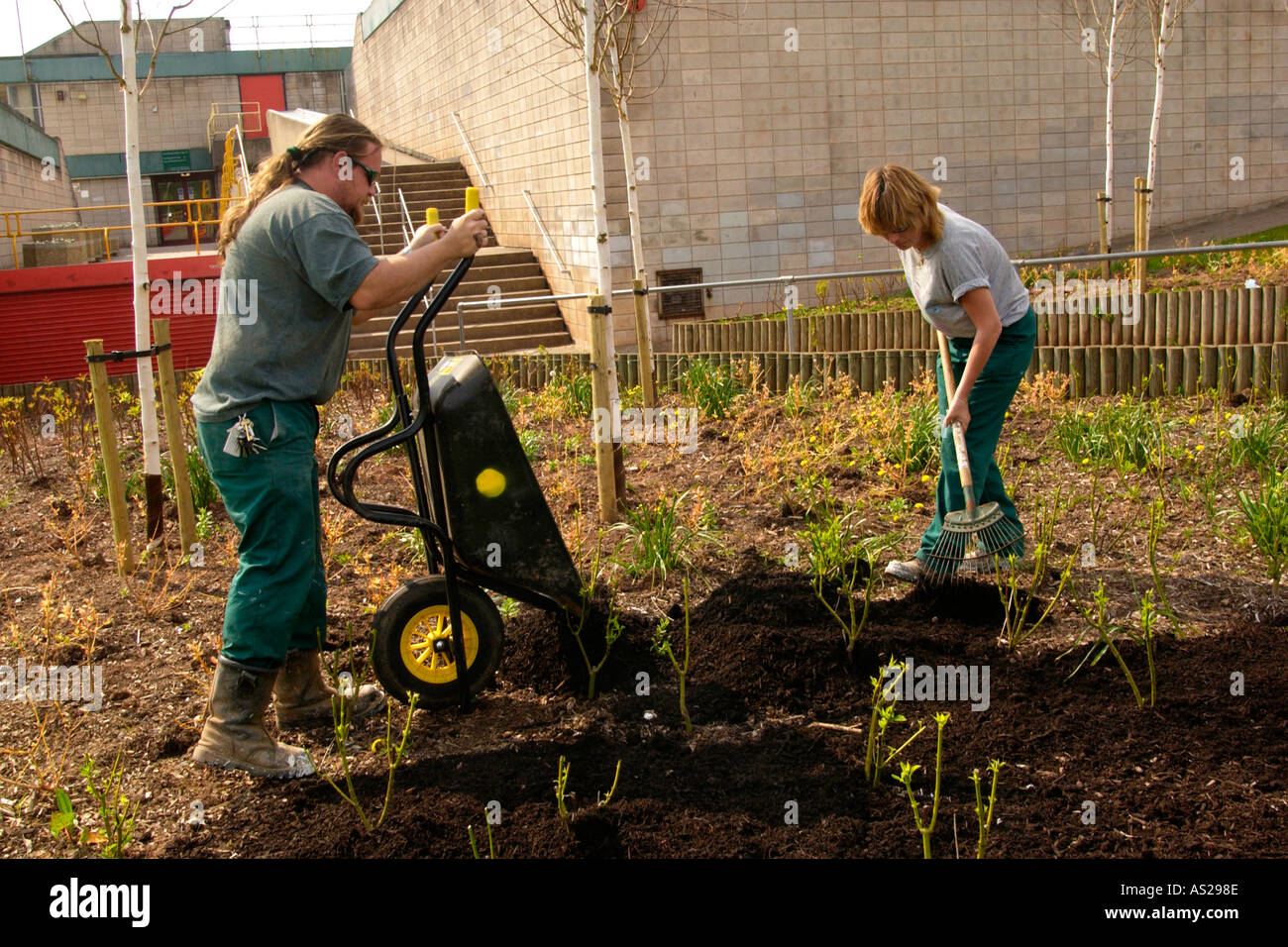 I lavoratori della città utilizzando il compost come un strame è stata fatta da giardino domestico Rifiuti da case in Newport South Wales UK GB Foto Stock