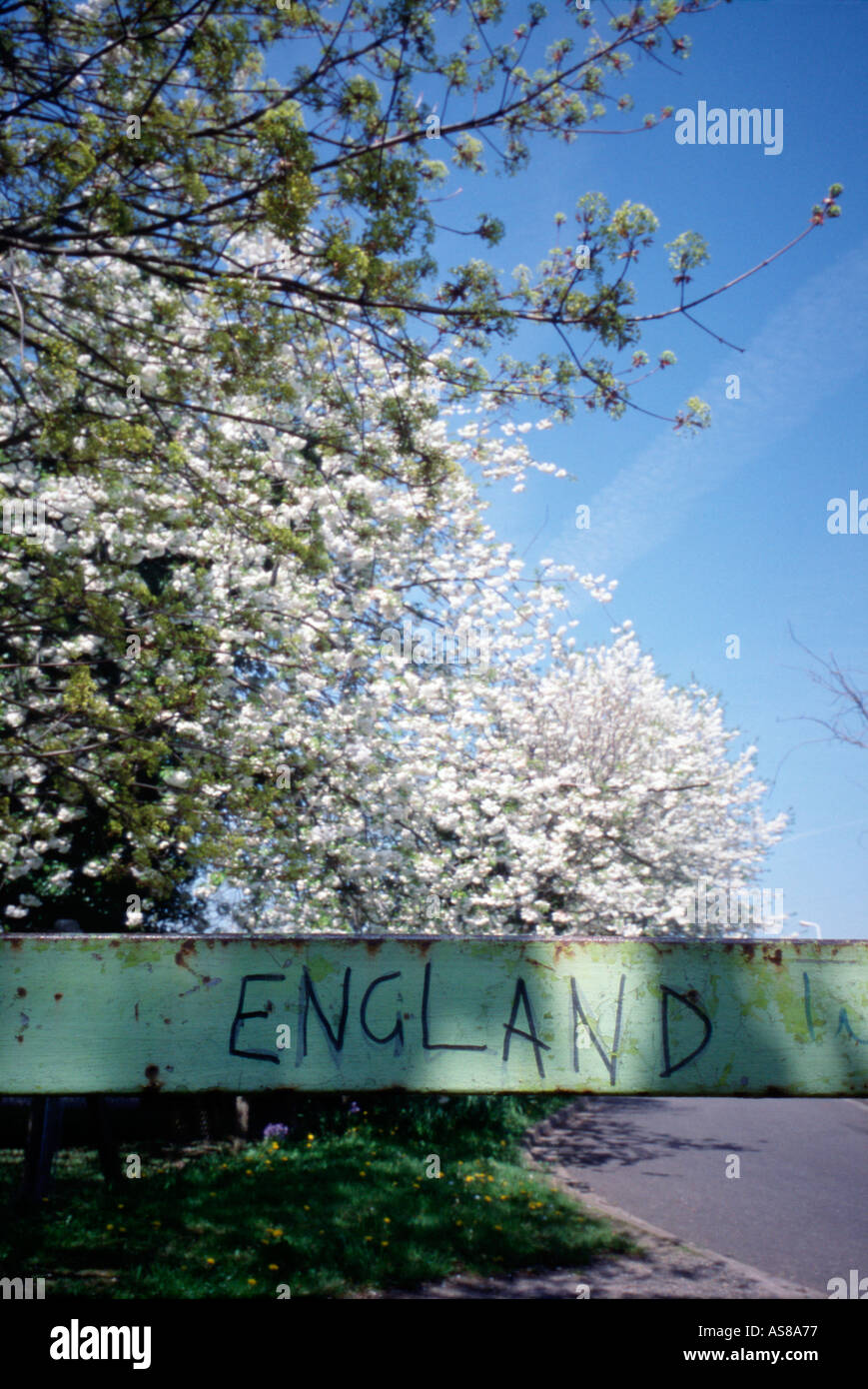 Inghilterra Graffiti sul cancello di ferro West Drayton MIDDLESEX REGNO UNITO nr London Foto Stock