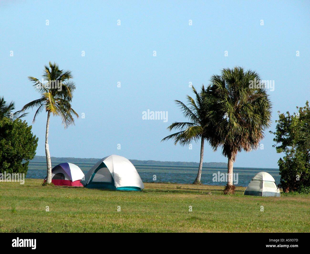 Parco nazionale delle Everglades della Florida ecosistema FL Foto Stock