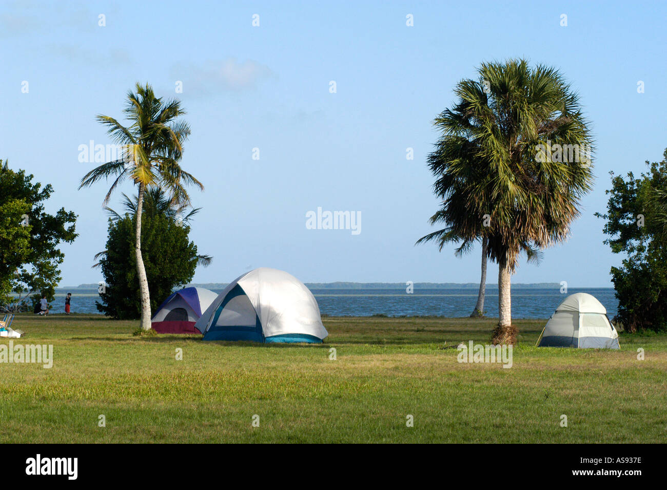 Parco nazionale delle Everglades della Florida ecosistema FL Foto Stock