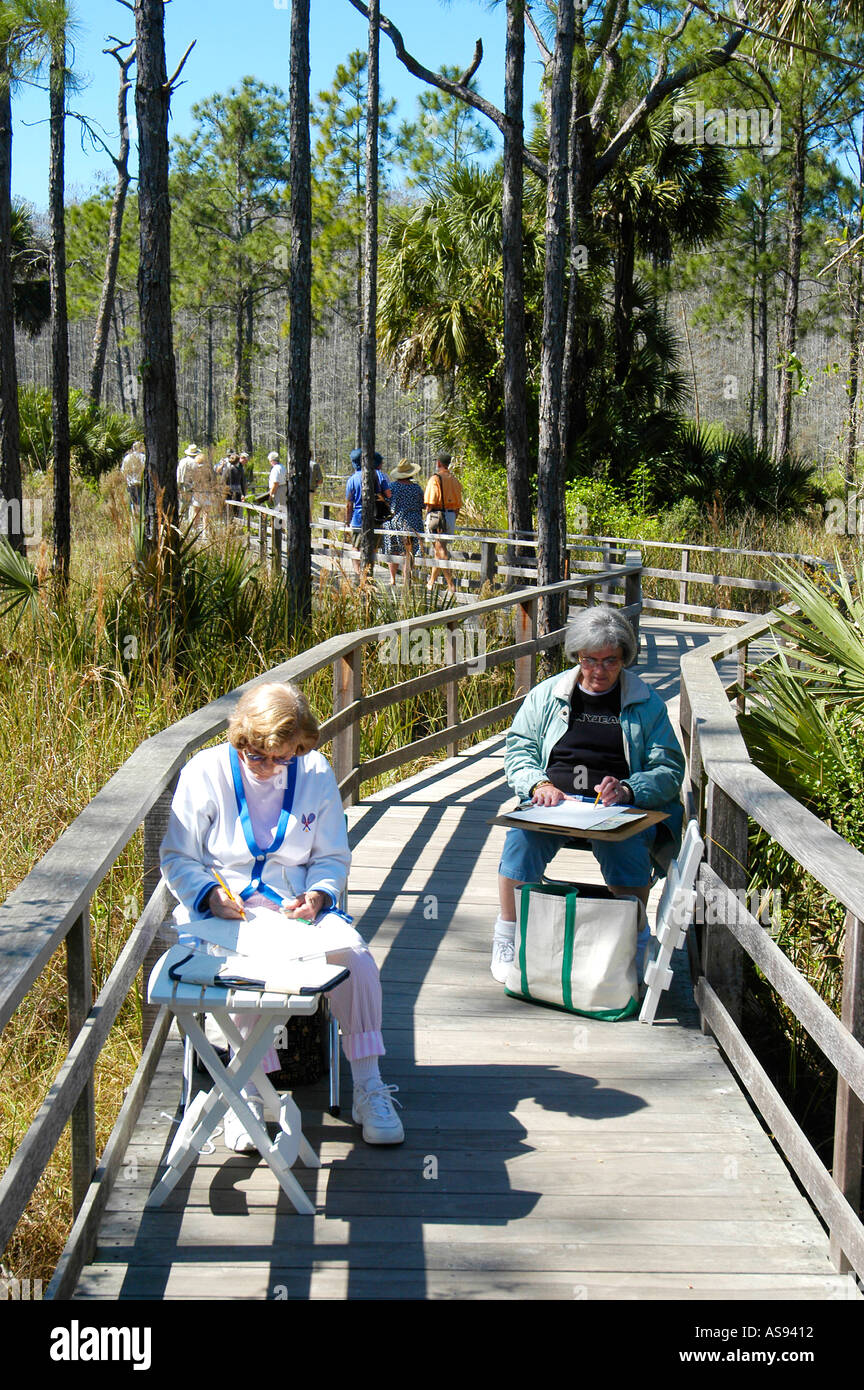 Struttura di cavatappi palude Santuario Napoli Florida FL Foto Stock