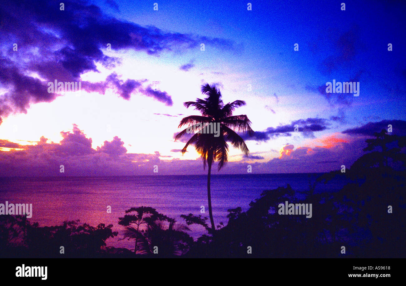 Grafton Beach Tobago Sunset Palm Tree Foto Stock