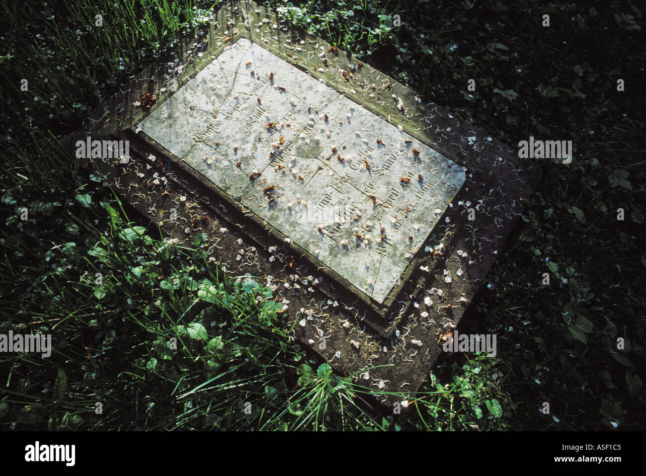 Il vecchio cimitero di pietre tombali Stuttgart Germania Foto Stock