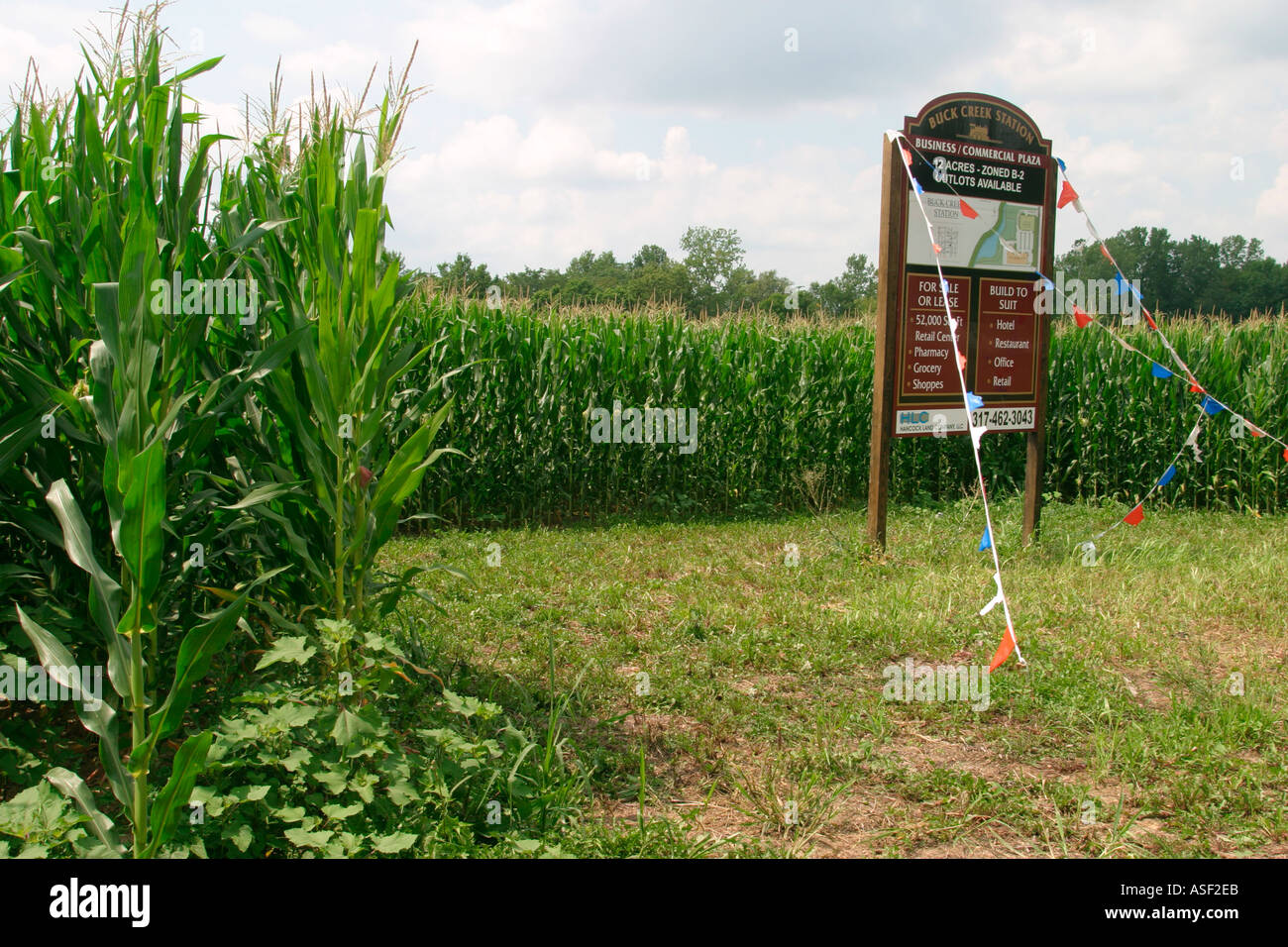 Sviluppo supera un campo di grano in Indiana Foto Stock