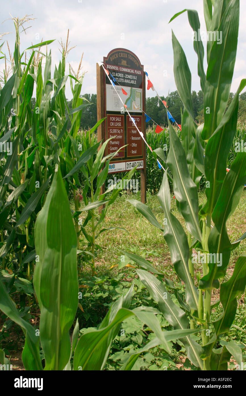 Sviluppo supera un campo di grano in Indiana Foto Stock