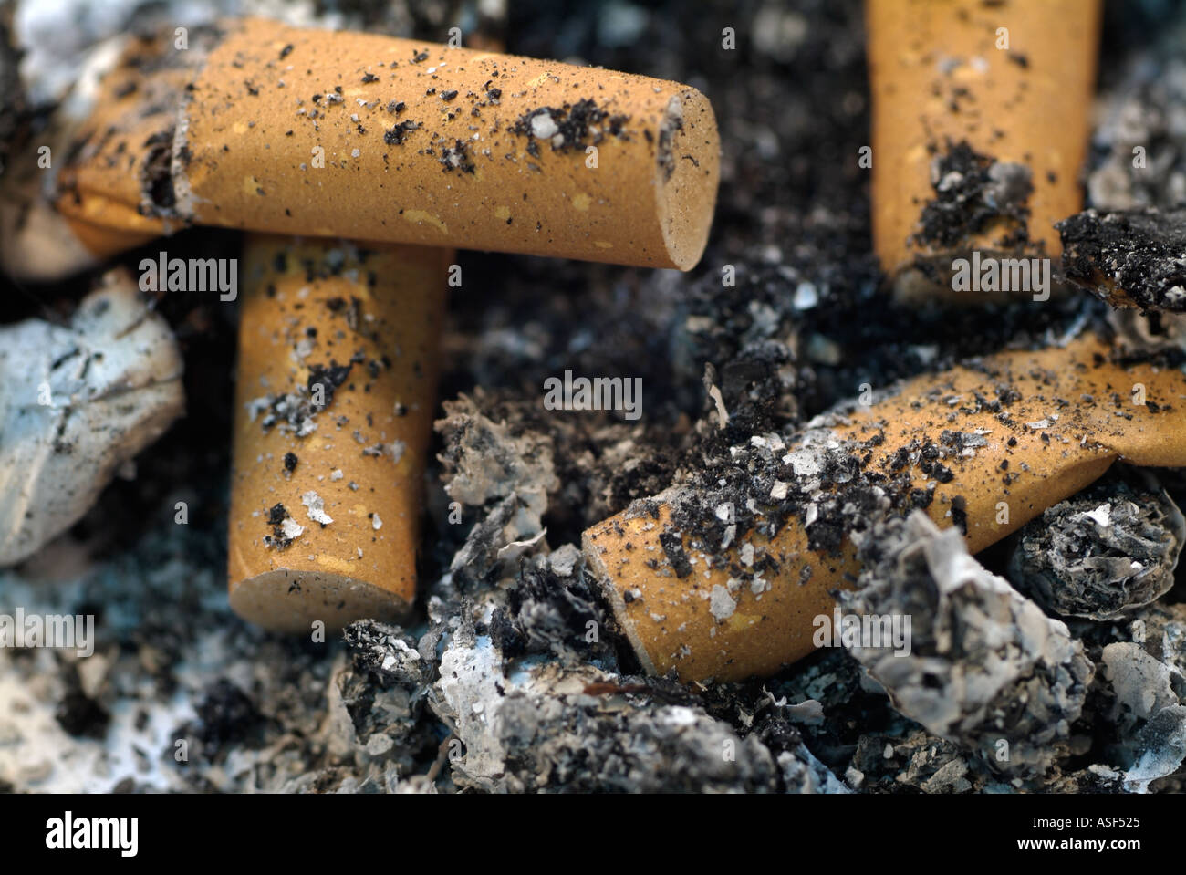 Mozziconi di sigaretta in un posacenere, vicino. Foto Stock