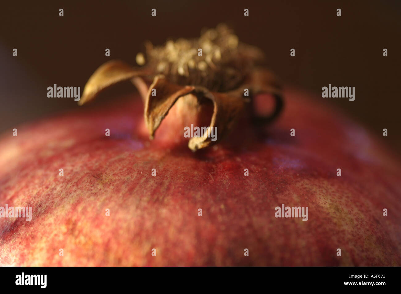 Frutto di melograno vicino fino alla profondità di campo Foto Stock