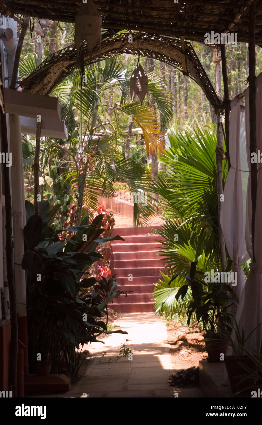 3575 Goa India passi pantina parasole piante cool a piedi Goa in India Foto  stock - Alamy
