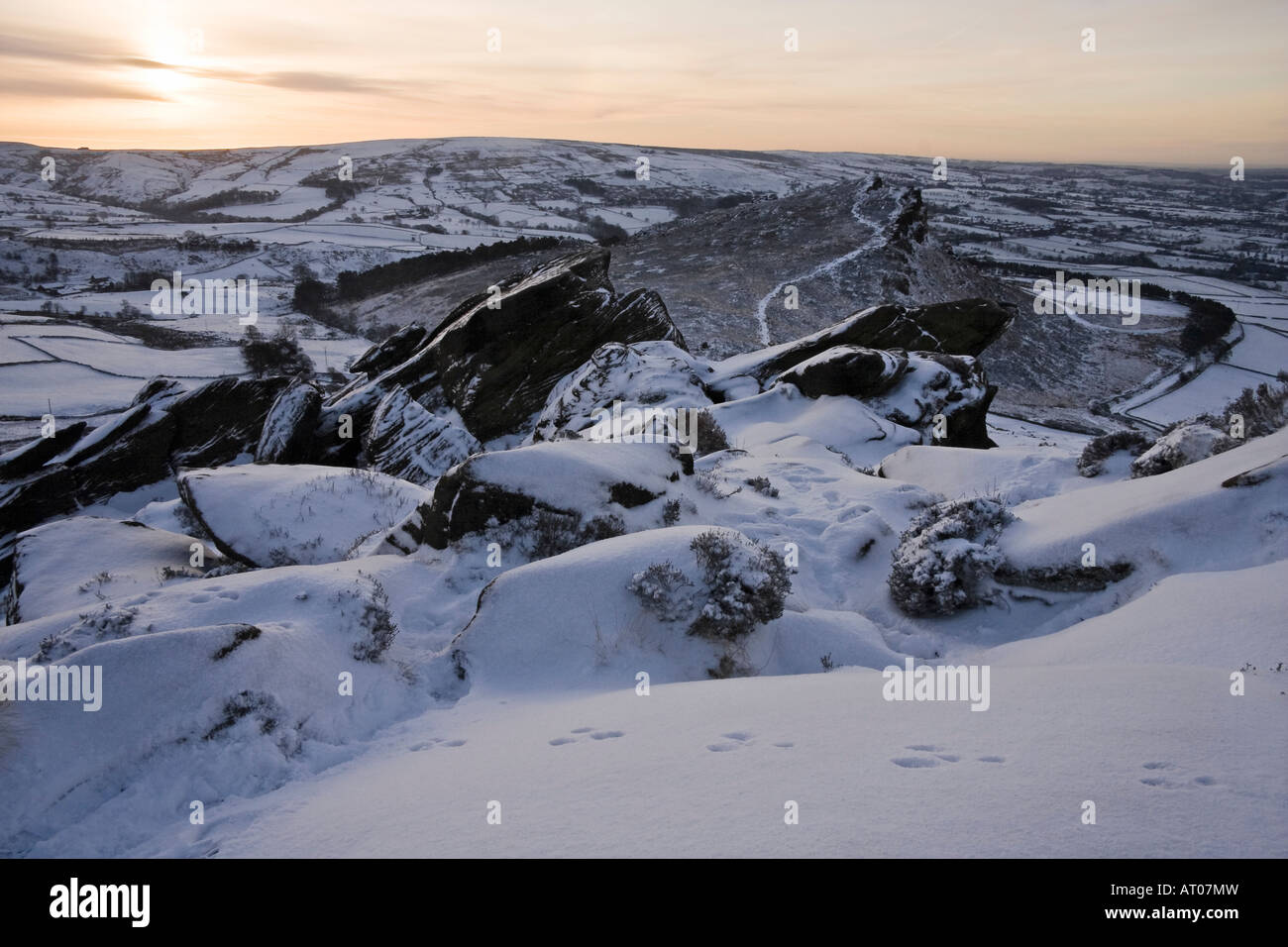 Coniglio Orme nella neve sul scarafaggi, Peak District, Staffordshire Foto Stock