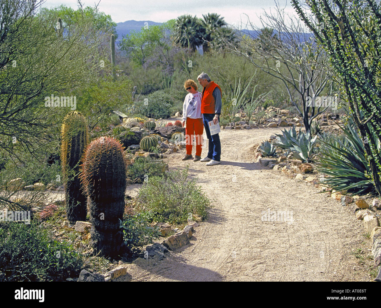 I visitatori nel giardino di cactus parte del Deserto di Sonora Museum di Tucson in Arizona Foto Stock