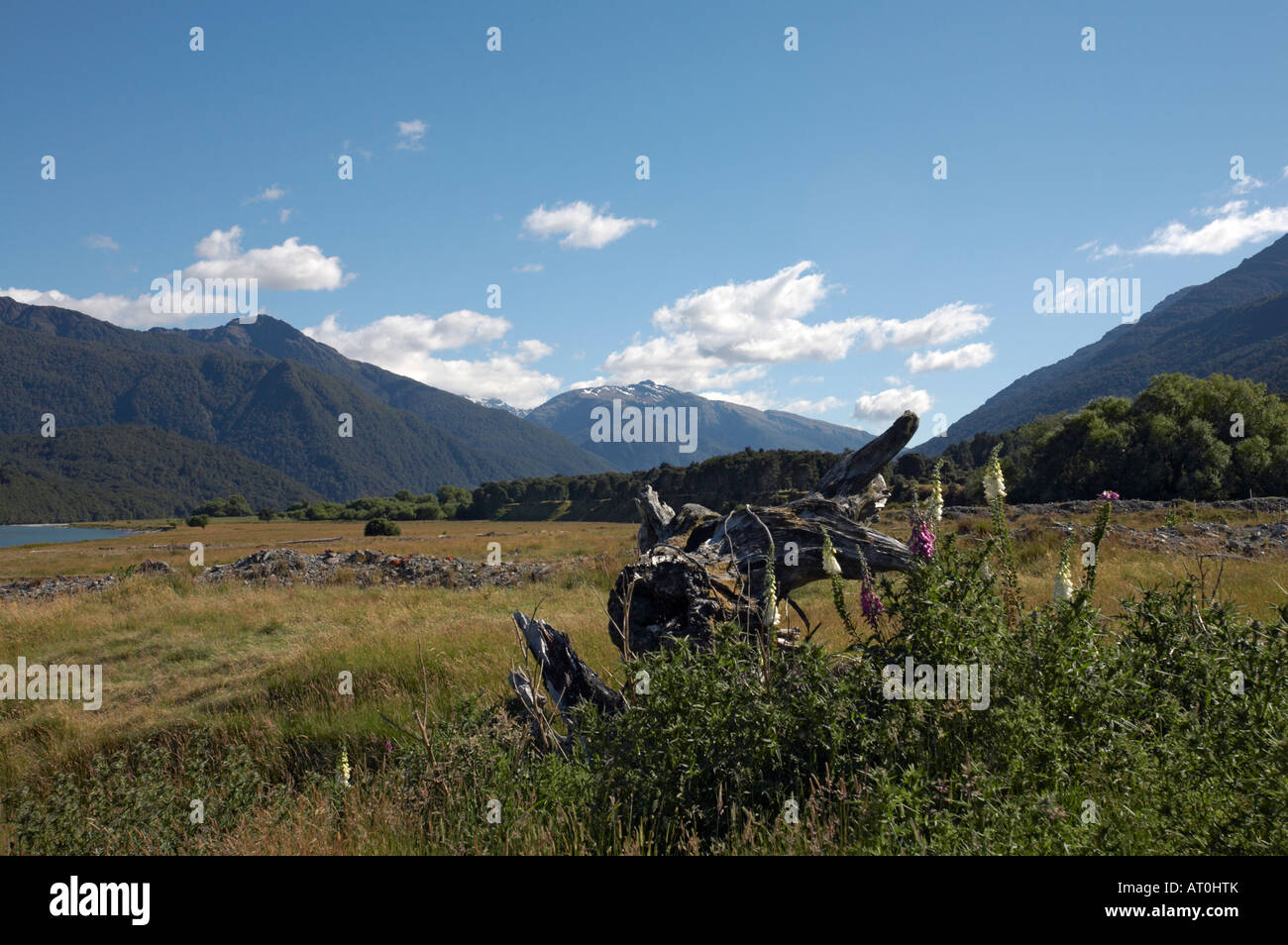Makarora, montare gli aspiranti il Parco Nazionale di South Island, in Nuova Zelanda Foto Stock