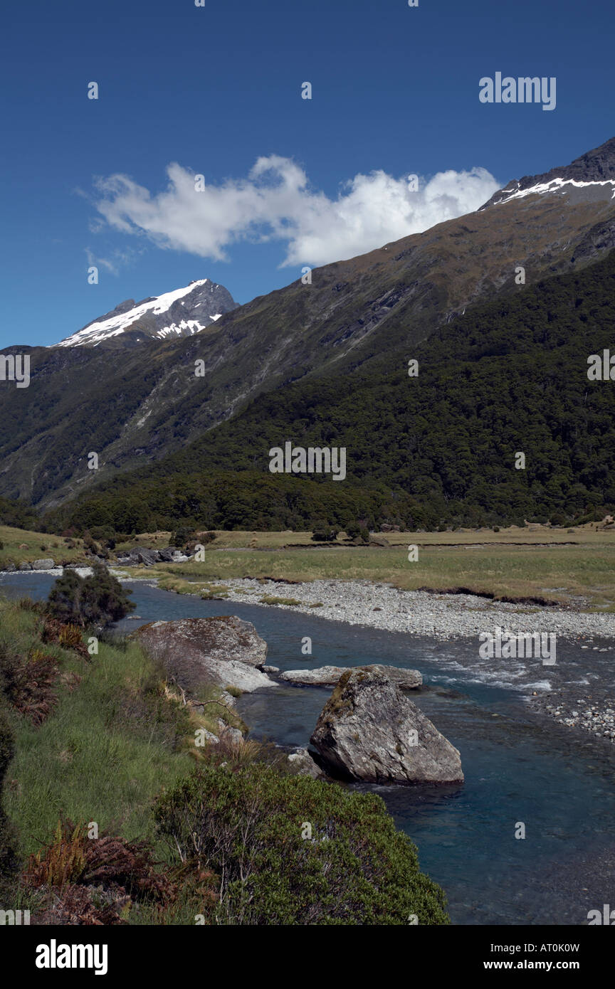 La Siberia esperienza bush a piedi attraverso la valle Wilkin nel montare gli aspiranti World Heritage National Park, Isola del Sud, Nuova Zelanda Foto Stock