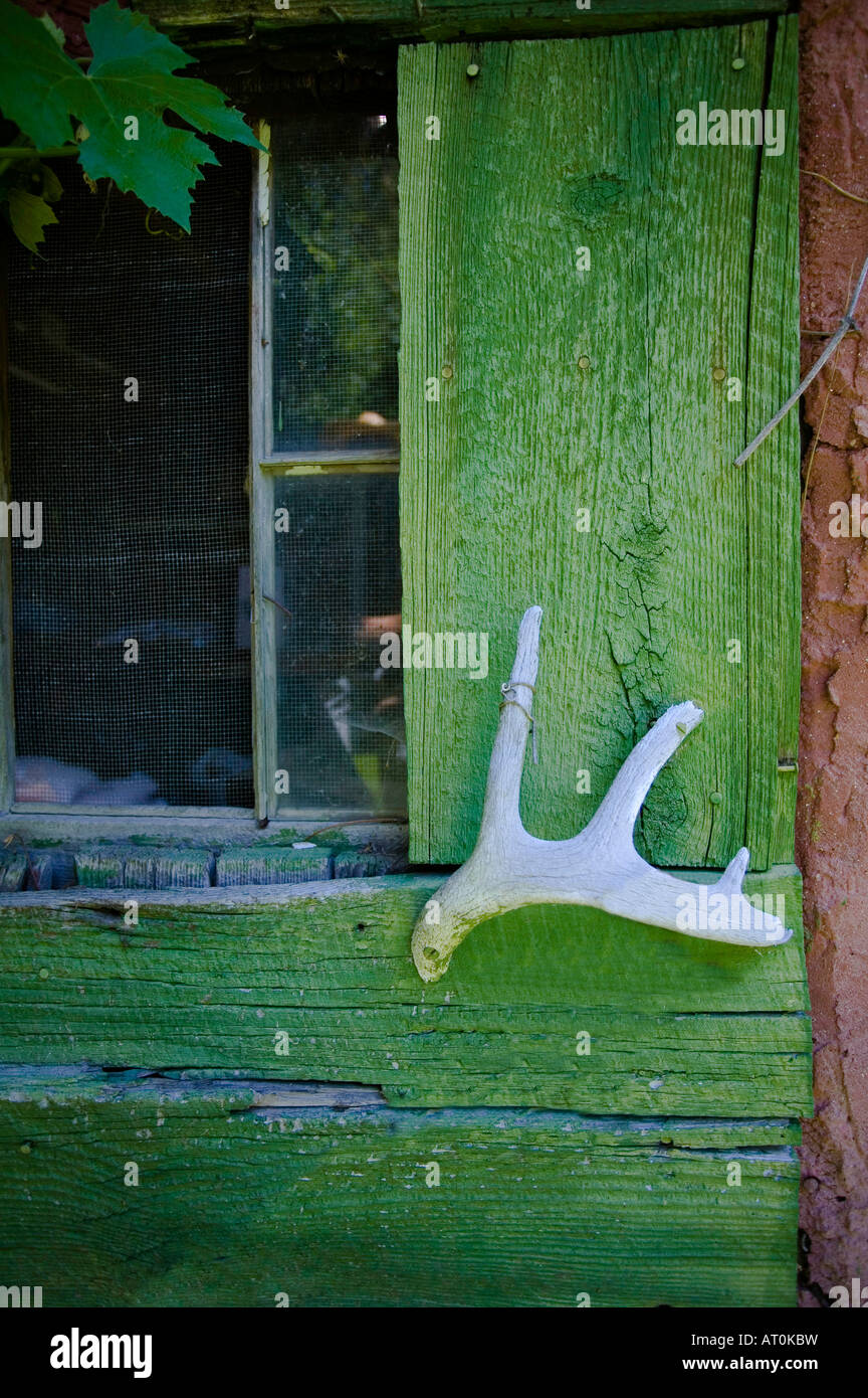 Un corna funziona come una maniglia per porta su una schermata di rustico porta a fatture di daino Foto Stock