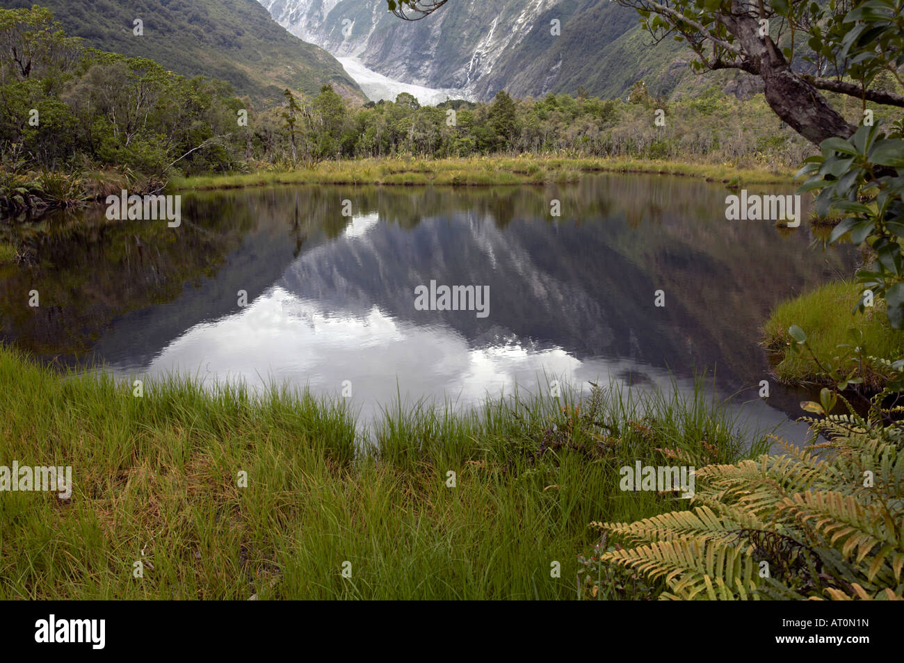Vista dalla piscina Peters del Ghiacciaio Franz Josef e la foresta pluviale, Westland Tai Poutini National Park, Isola del Sud, Nuova Zelanda Foto Stock