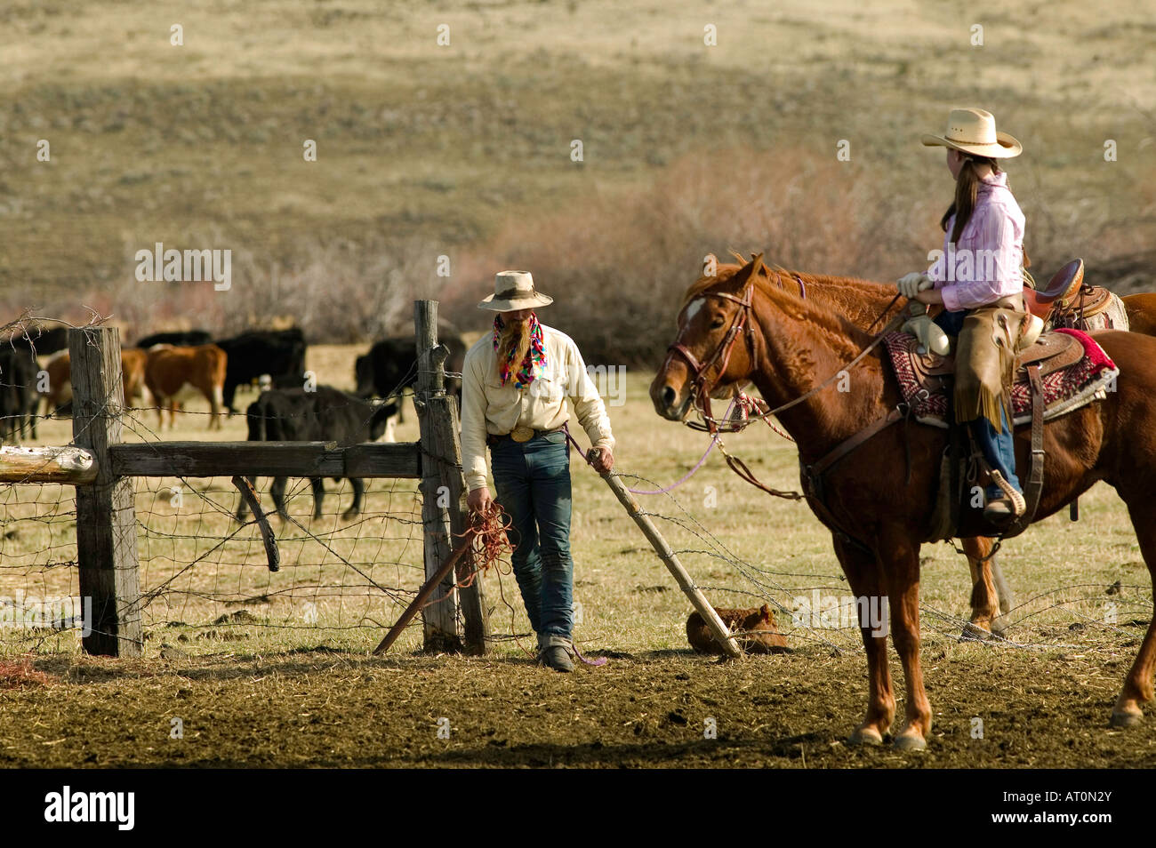 Signor una mucca mano chiude la porta dietro di lui durante una molla il branding nel sud est di Oregon Foto Stock
