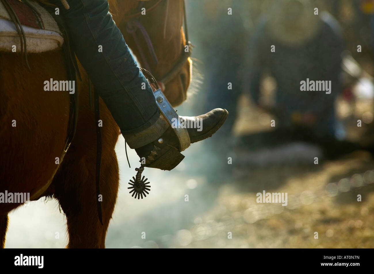 Signor Dettaglio di un cowboy spurie Foto Stock