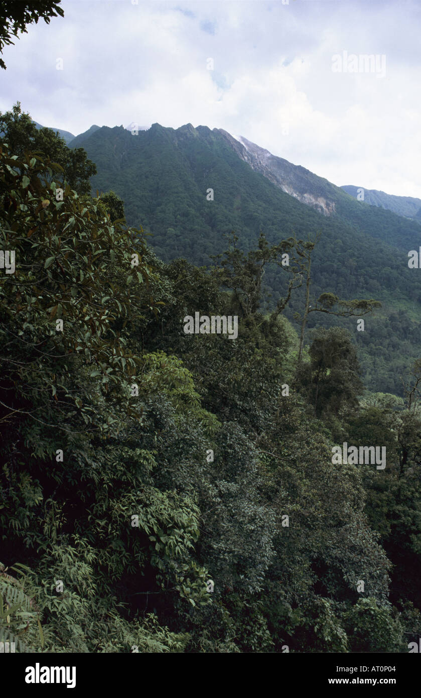 Vulcano Sibayak, vicino Berastagi, Sumatra Indonesia Foto Stock