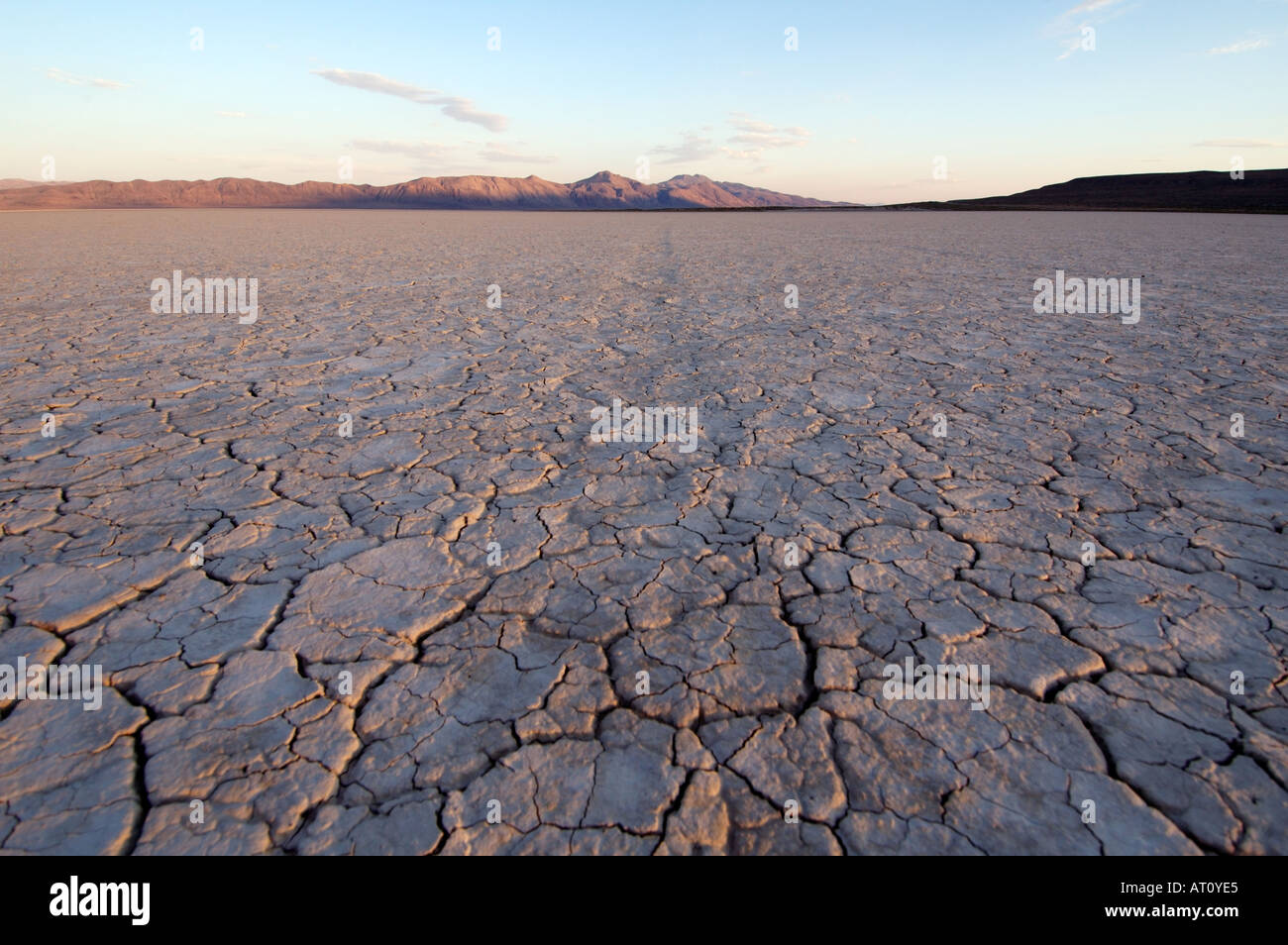 Traccia dei pneumatici su Black Rock Desert playa, Nevada, STATI UNITI D'AMERICA Foto Stock