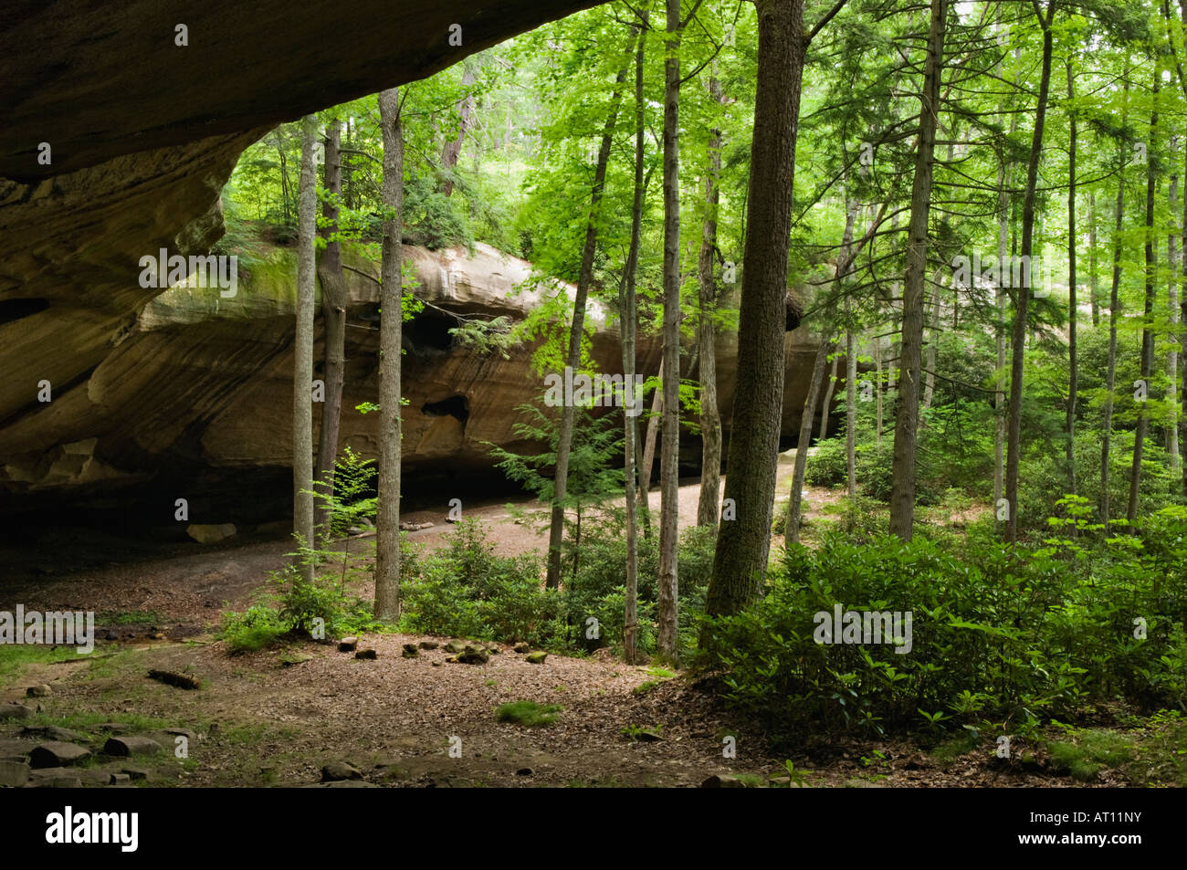 Camere di consiglio Rock House in Red River Gorge Area geologica Menifee County Kentucky Foto Stock