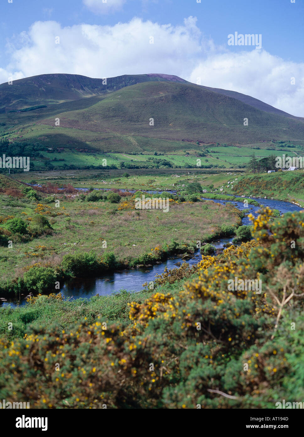 Fiume che scorre in Irlanda scenic Ring of Kerry paesaggio Foto Stock