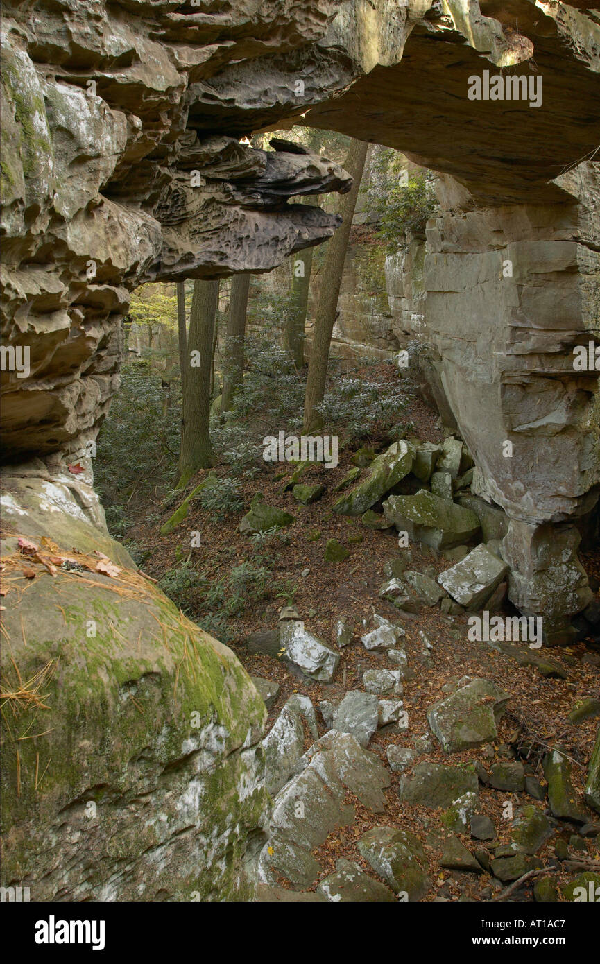 Split Bow arco naturale grande sud Forcella National Recreation Area Tennessee Foto Stock