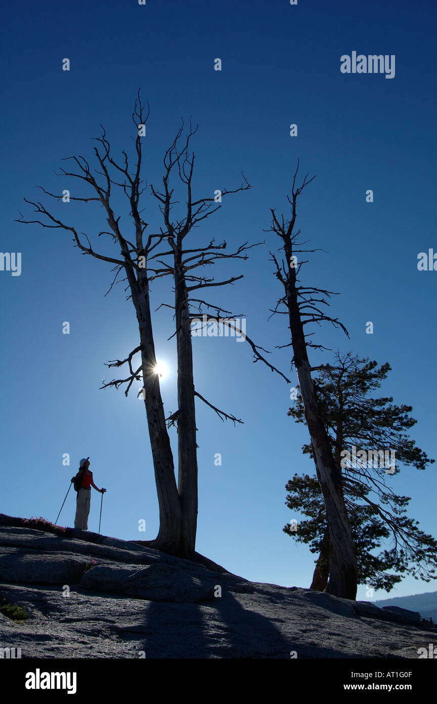 Escursionista solitario sul Sentinel Dome, Yosemite National Park, California, Stati Uniti d'America Foto Stock