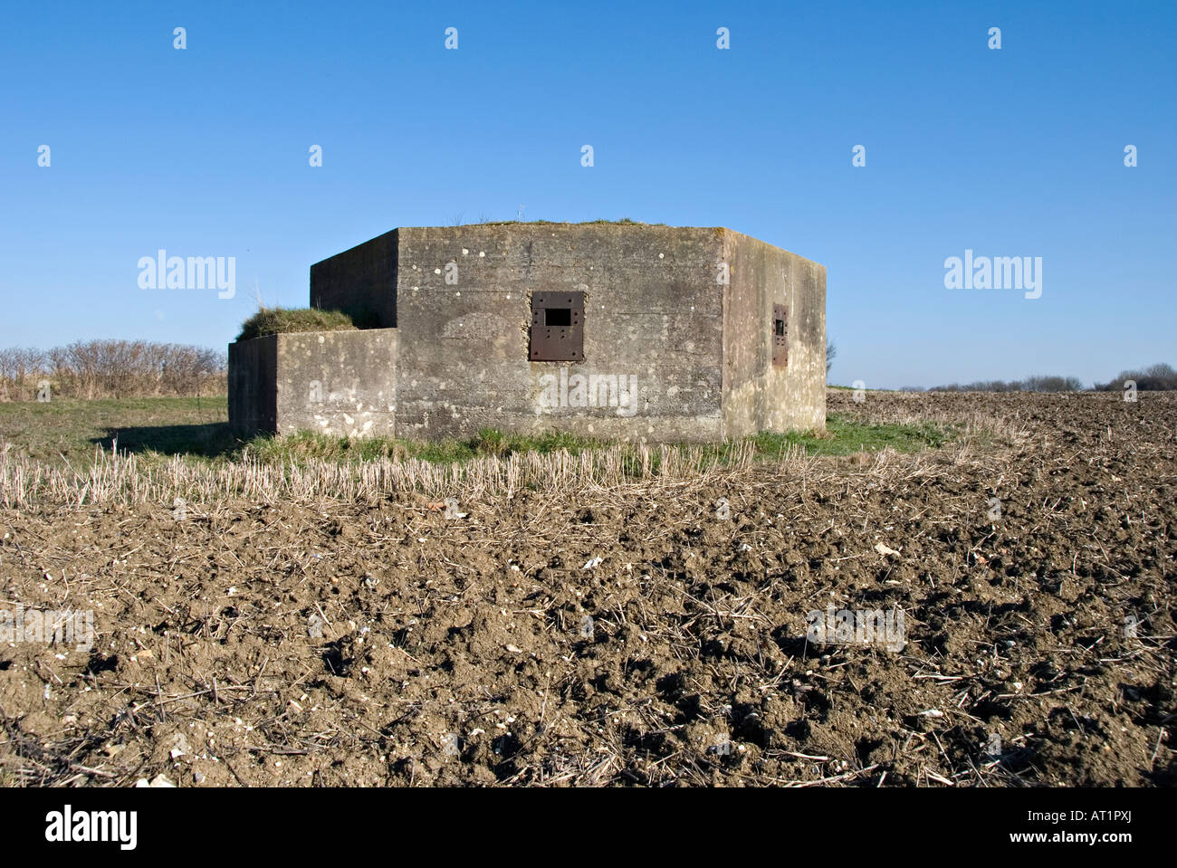 Guerra Mondiale II Calcestruzzo scatola di pillole o bunker vicino a Lavenham, Suffolk, Regno Unito Foto Stock