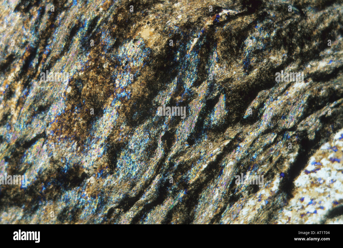 Ardesia roccia metamorfica Pirenei Spagna microscopio petrografica Foto  stock - Alamy