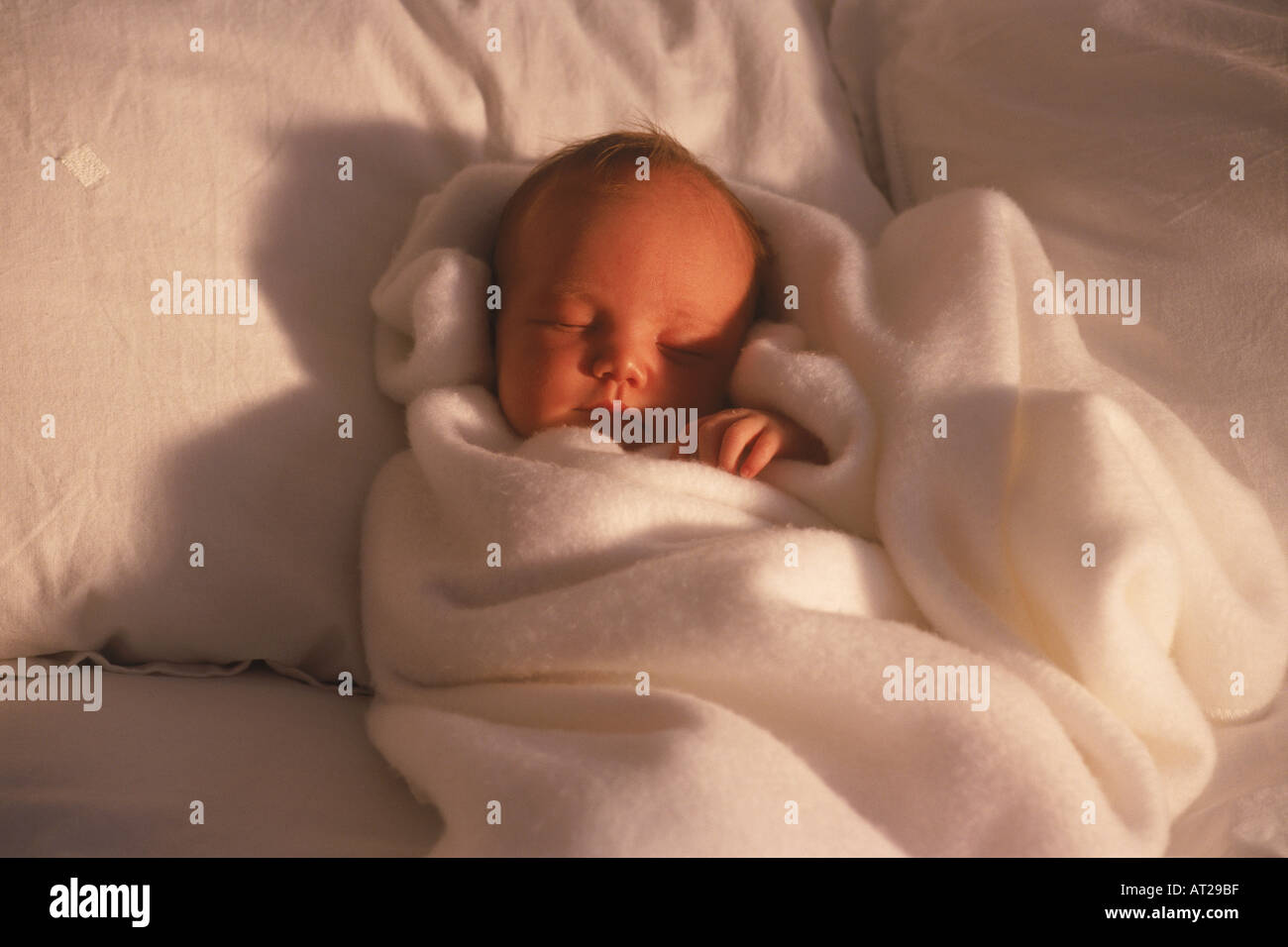 Baby 2-4 settimane vecchia avvolta nella coltre bianca nella luce del mattino Foto Stock